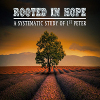 Rooted in Hope: Week 15