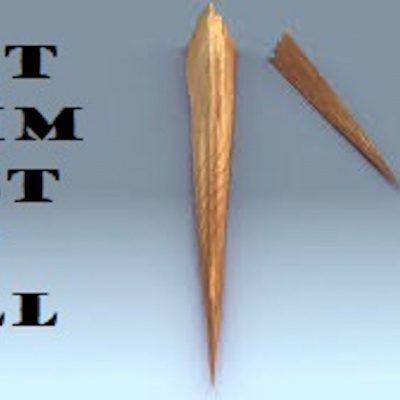 Covenant Church Willis