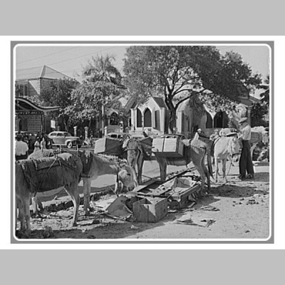 Chatting With Dr Leonard Richardson