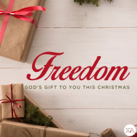 Freedom - Freedom From Bitterness