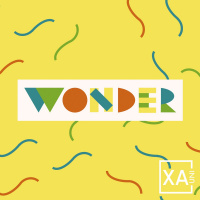 Wonder Part 3 - The Wonder of Grace (Tony Meyer)