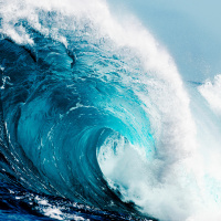 Surfing the Psychic Waves and your Akashic Record Keeper