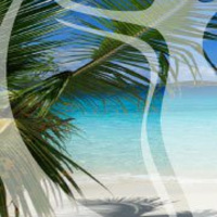 Surfing the Twin Flame Waves