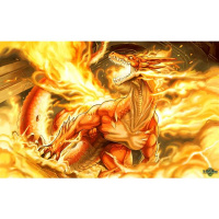 What is the Dragon years coming up 2020?