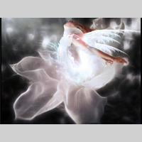 Are you doing your soul purpose?