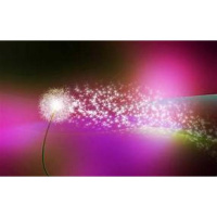 The most POWERFUL manifesting tool!