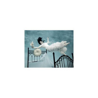 What are your dreams telling you?