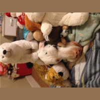 Got Pets? Get them healthy and happy!!