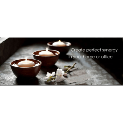 Vickie Emanuele - The Energy Goddess
