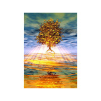 Ease of Resolving Conflict and Tension