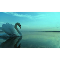 Finding Your Inner Stability