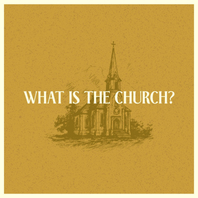 Redeemer Olive Branch