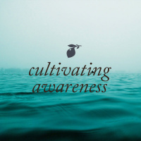Cultivating Awareness: Ep. 33