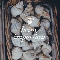 Being Important: Ep. 31