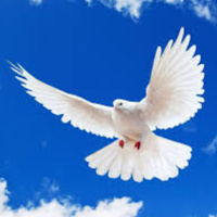 Restore, do not accuse-ENG