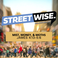 StreetWise Pt 10 - Mist, Money  Moths
