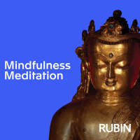 Mindfulness Meditation 10/14/2015 with Rosemary Blake
