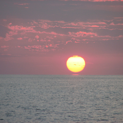 ...desde El Sur De California!