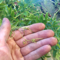 Betime story for smElla. mary and john