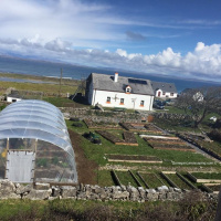 The Girl Dinosaur: Bedtime story for smElla