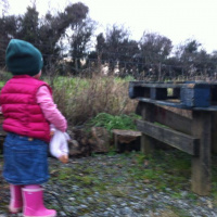 The Birds and The Trees and Ella