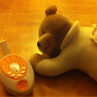 What is Prince Lionheart ? 