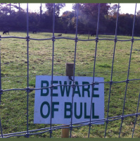 @molly_moo84 @markrock howyiz :)