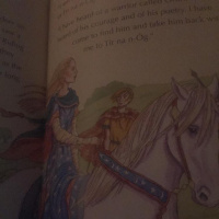 Stories: Oisín in Tír na n-Óg