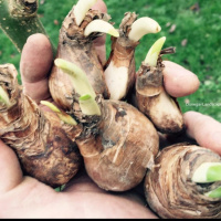 Mary and john - Bedtime story for smElla