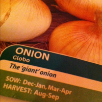 Mammoth Onion Growers unite 
