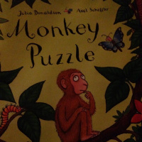 Childrens Story - Monkey Puzzle