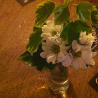 Real Flowers for Coffee Shops, Please ?