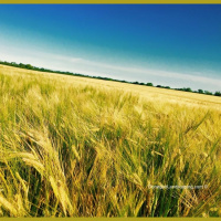 Chatting w/ Ella: Tony, Ice cream and Stuff