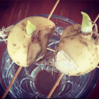 Bedtime Poetry and Ramblings with smElla inc Thomas Moore