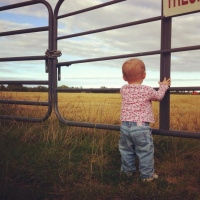 Gig. Today. 2pm. National tree week stuff. 