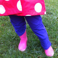 FAO: The Garden Groupers 