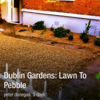 Hedgerow walks, the @sodshow, DeWalt drills and camping