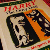 Harry The Dirty Dog
