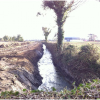 Hedgerow walk, nerds and young Scientists
