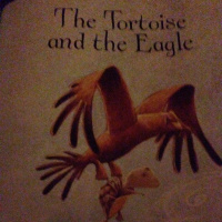The Tortoise and The Eagle
