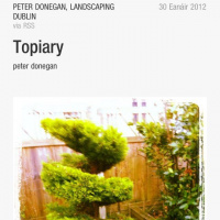 Beaganaí as Gaeilge 