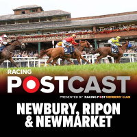 97: Newbury, Ripon  Newmarket Preview | Horse Racing Tips | Racing Postcast
