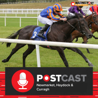 Newmarket, Haydock  The Curragh | Horse Racing Tips | Racing Postcast 