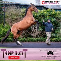 Top Lot: Touring the ITM Stallion Trail with Aisling Crowe