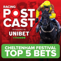 149: TOP 5 BETS AT THE 2024 CHELTENHAM FESTIVAL | Horse Racing Tips | Racing Postcast