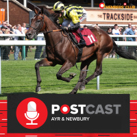 Ayr  Newbury | Horse Racing Tips | Racing Postcast