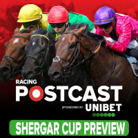 301: Shergar Cup Preview | Horse Racing Tips | Racing Postcast | Unibet