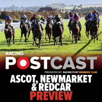 111: Ascot, Newmarket  Redcar Preview | Horse Racing Tips | Racing Postcast