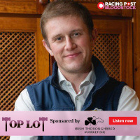 Top Lot sponsored by ITM - Invincible Spirit, Phoenix of Spain, Lucky Vega and the Irish National Stud stallions