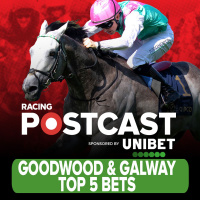 292: GOODWOOD  GALWAY TOP 5 BETS | Horse Racing Tips | Racing Postcast